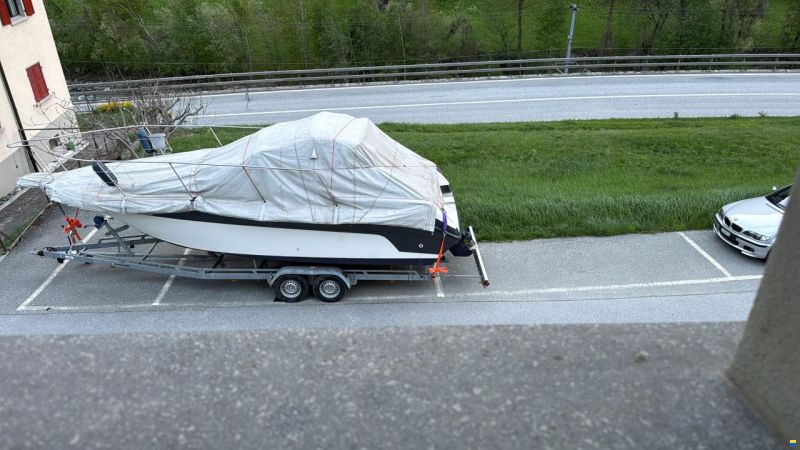 Sea Ray 250 DA