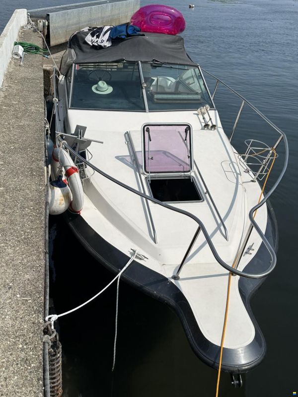 Sea Ray 250 DA