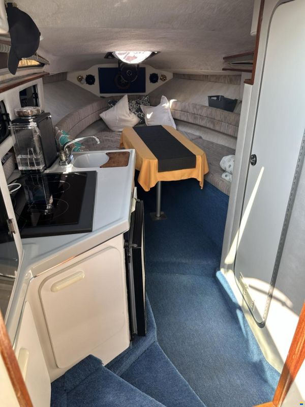 Sea Ray 250 DA
