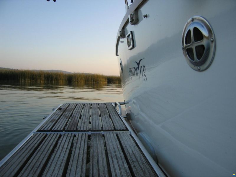 Rohn Motoryacht Spurwing