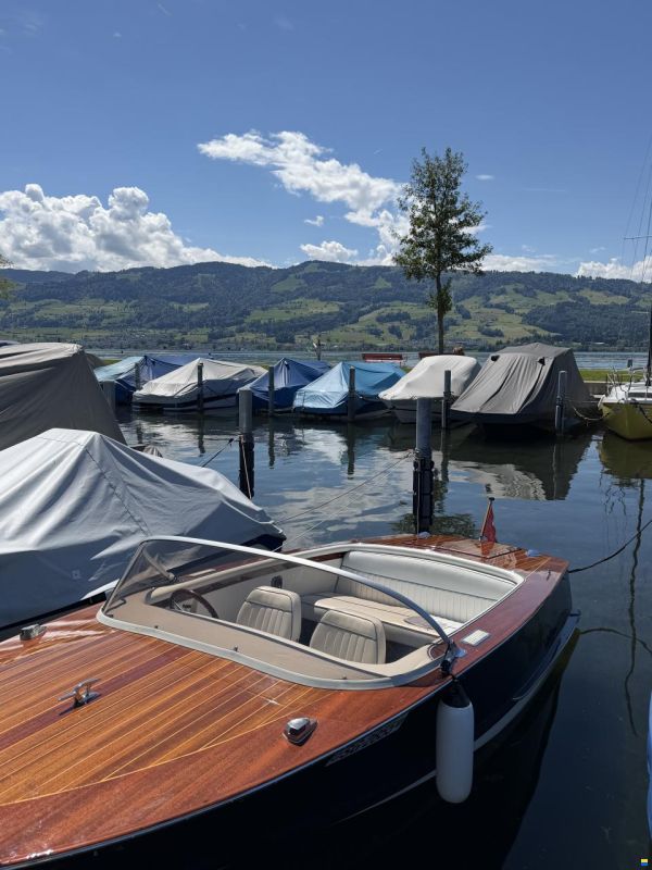 Walser 510