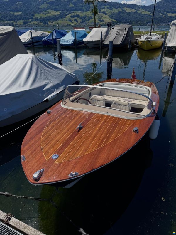 Walser 510
