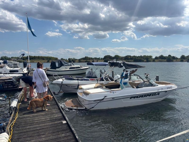Moomba Mondo