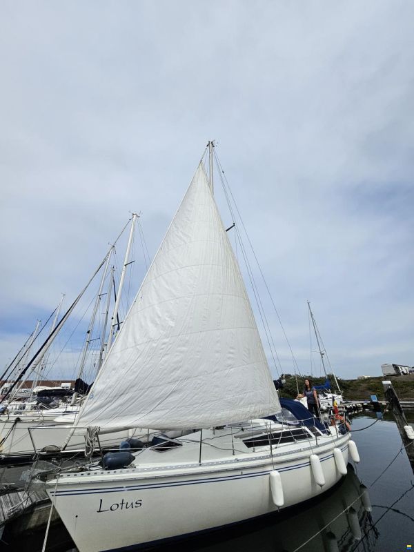 Gib Sea Gibsea 96