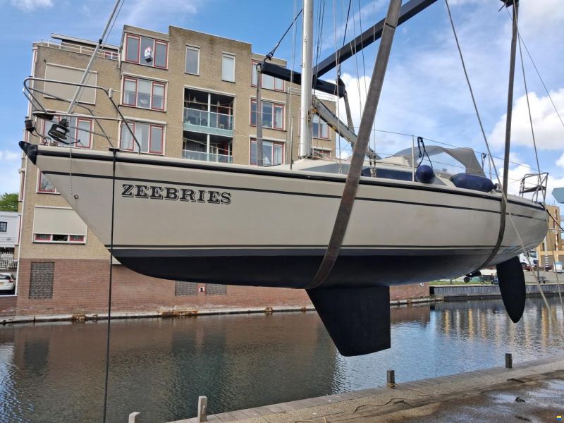 Dehler 31