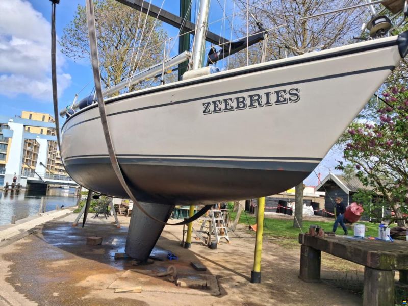 Dehler 31