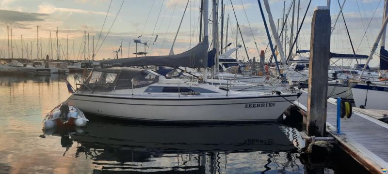Dehler 31