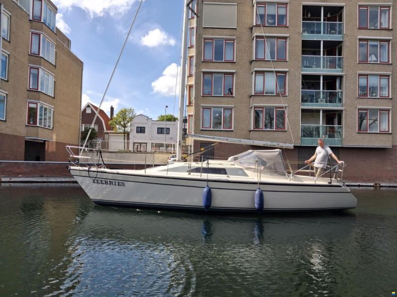 Dehler 31