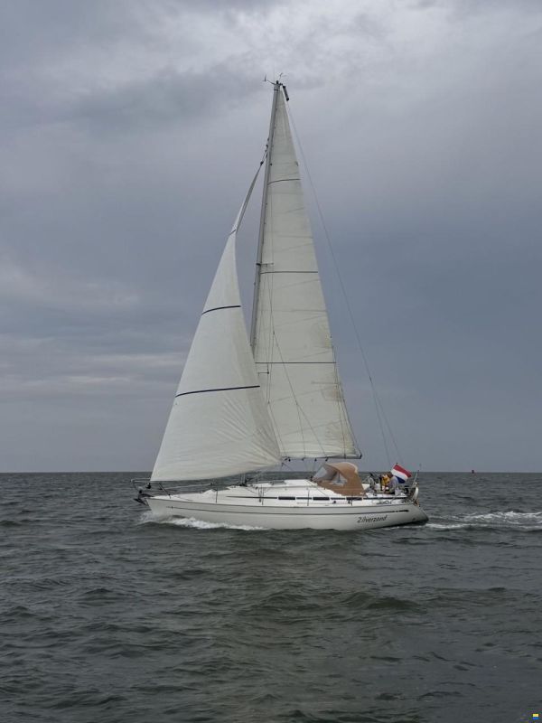 Bavaria 36-3
