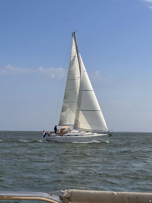 Bavaria 36-3