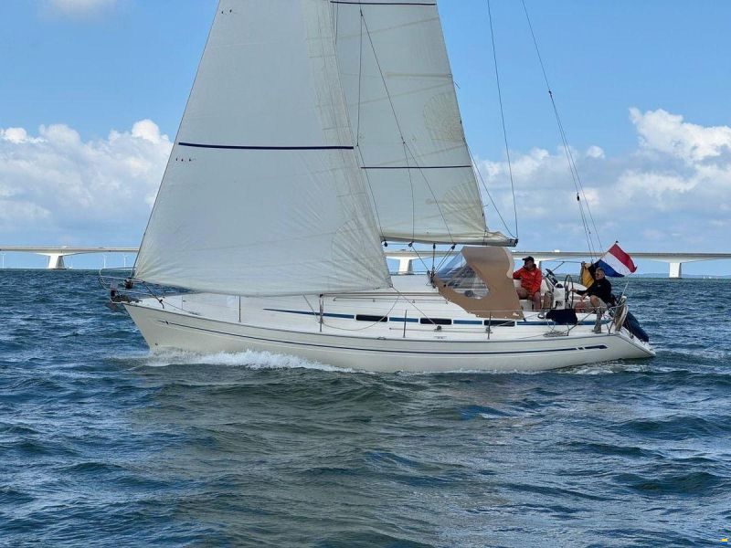 Bavaria 36-3