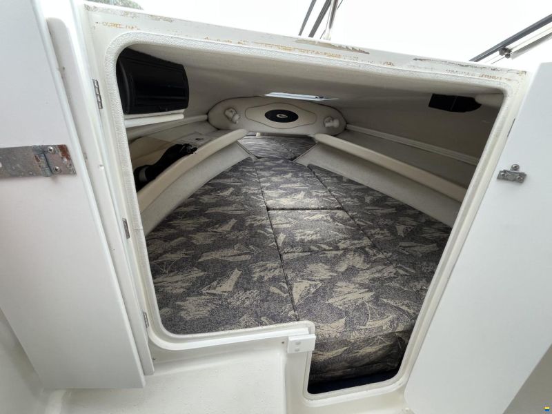 Campion 565 SC Allante