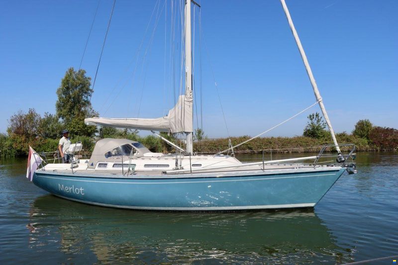 Spirit 37
