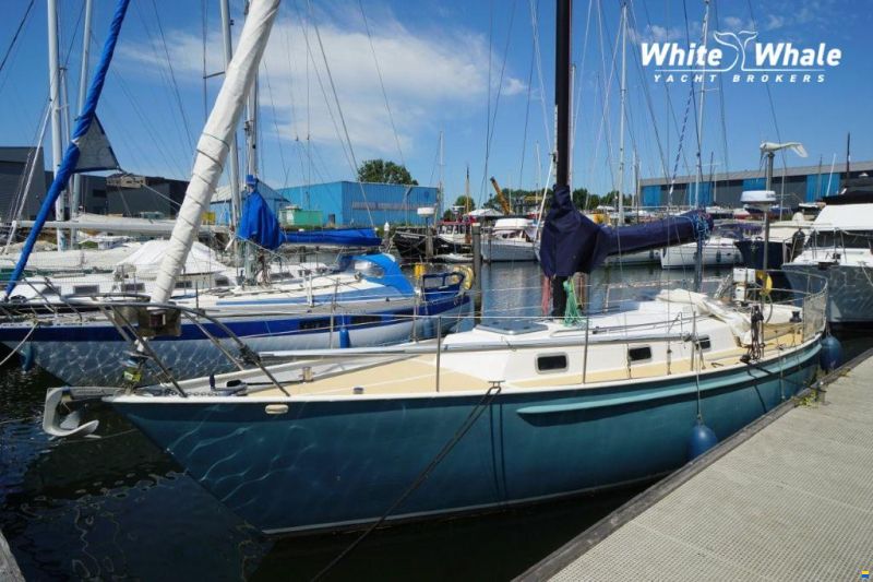 Koopmans 33