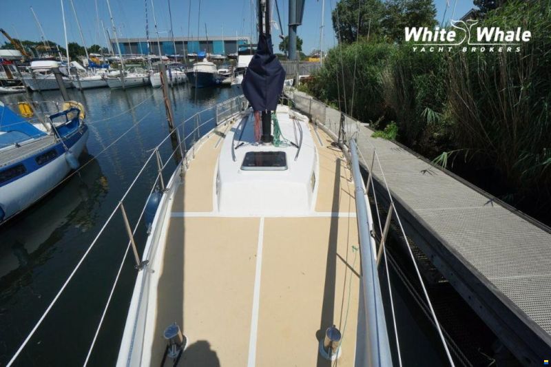 Koopmans 33