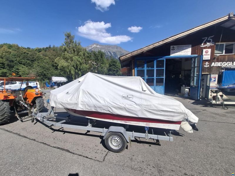 Schweizer Saphir 510