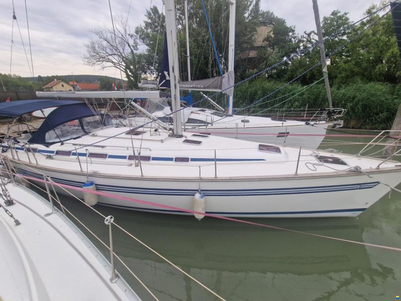 Bavaria 44