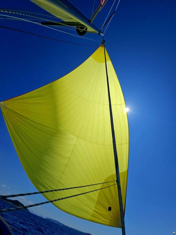 Bavaria C 42