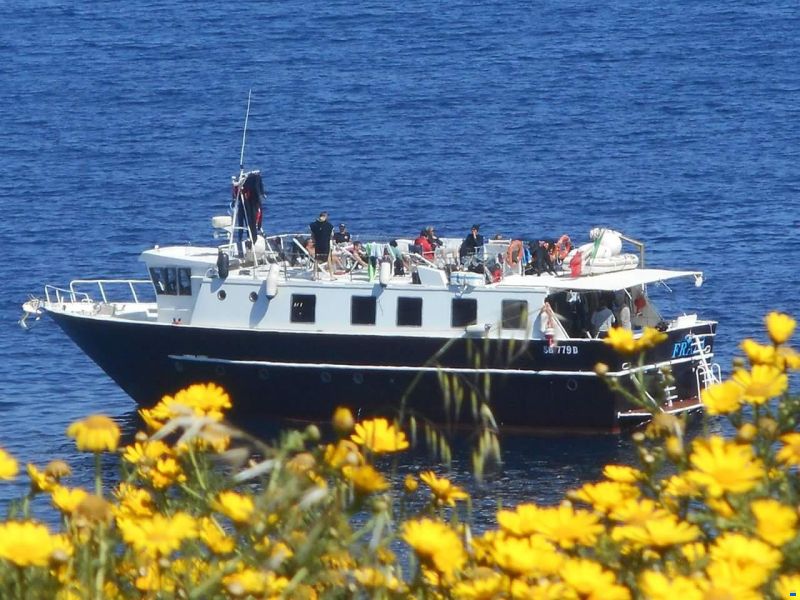 Ascolani Diving