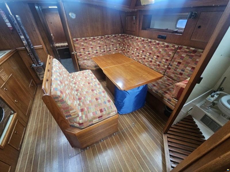 Trident Marine Warrior 38