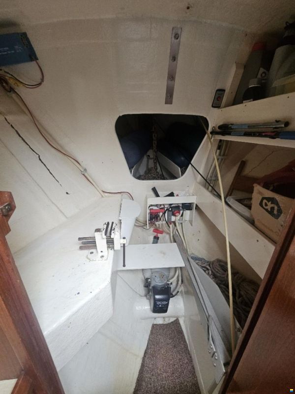 Trident Marine Warrior 38