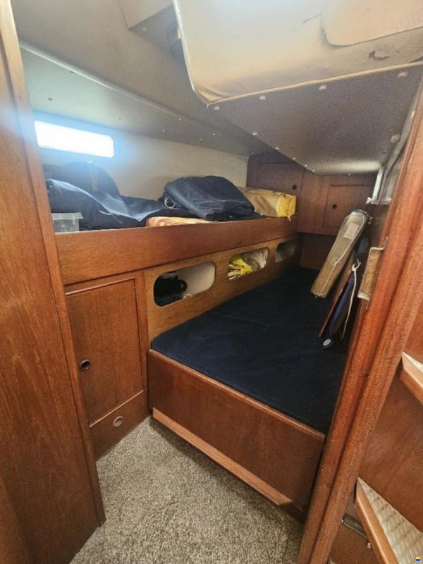 Trident Marine Warrior 38