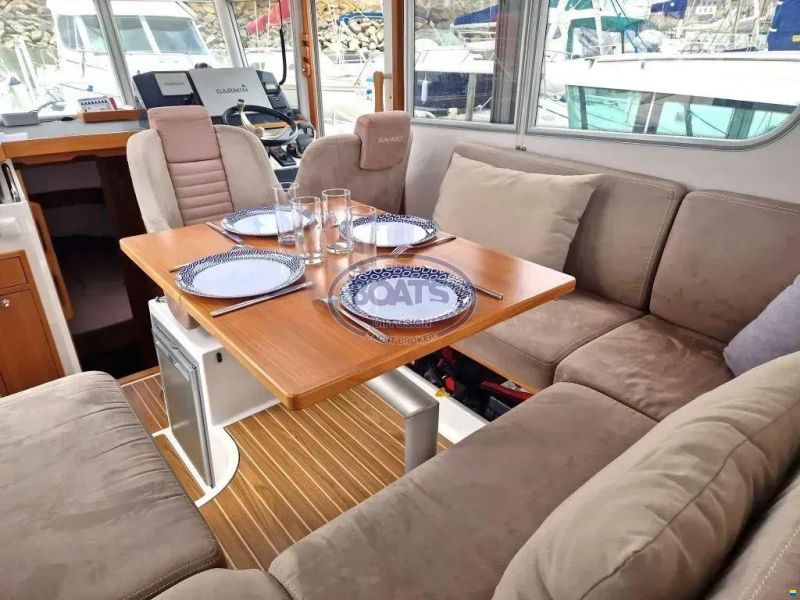 Sargo 31