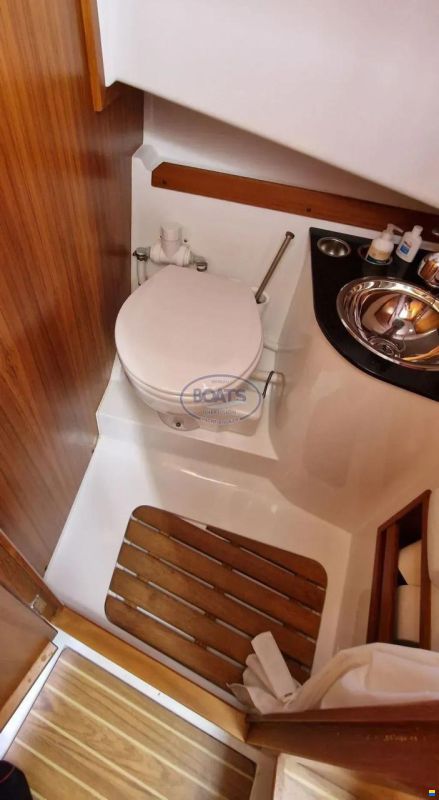 Sargo 31