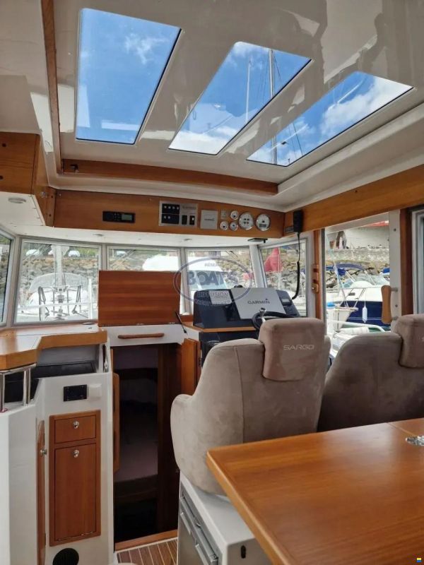 Sargo 31