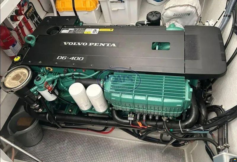 Sargo 31