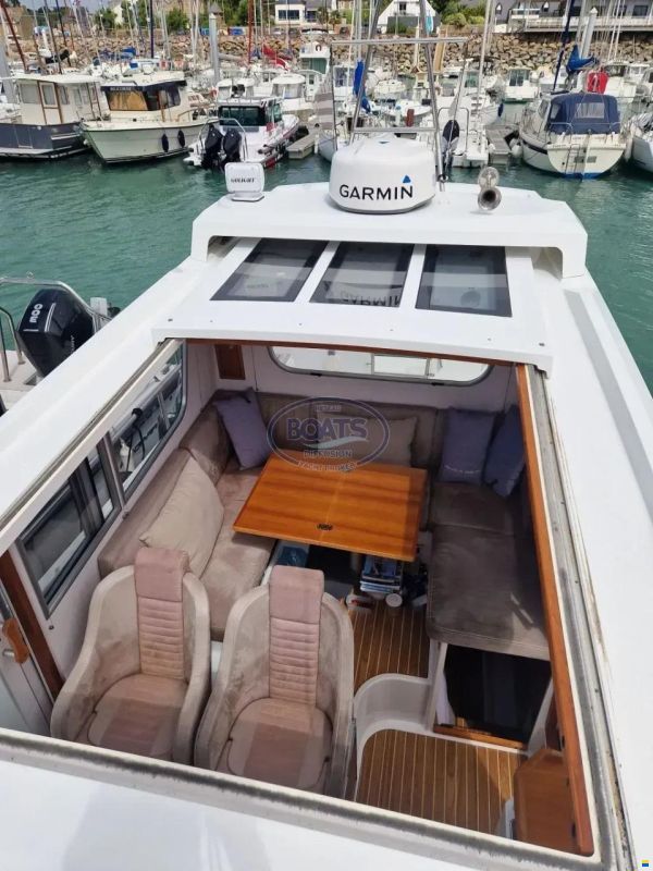 Sargo 31