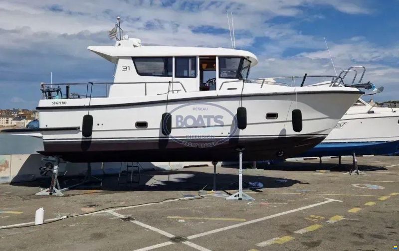 Sargo 31