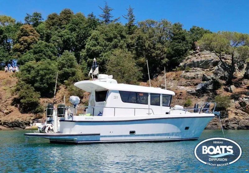 Sargo 31