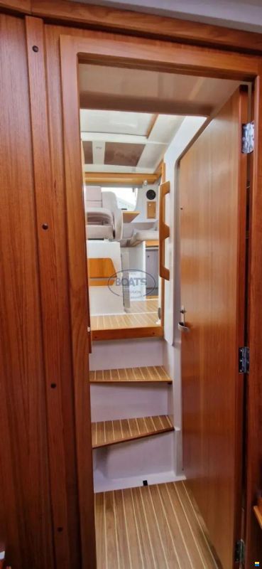 Sargo 31