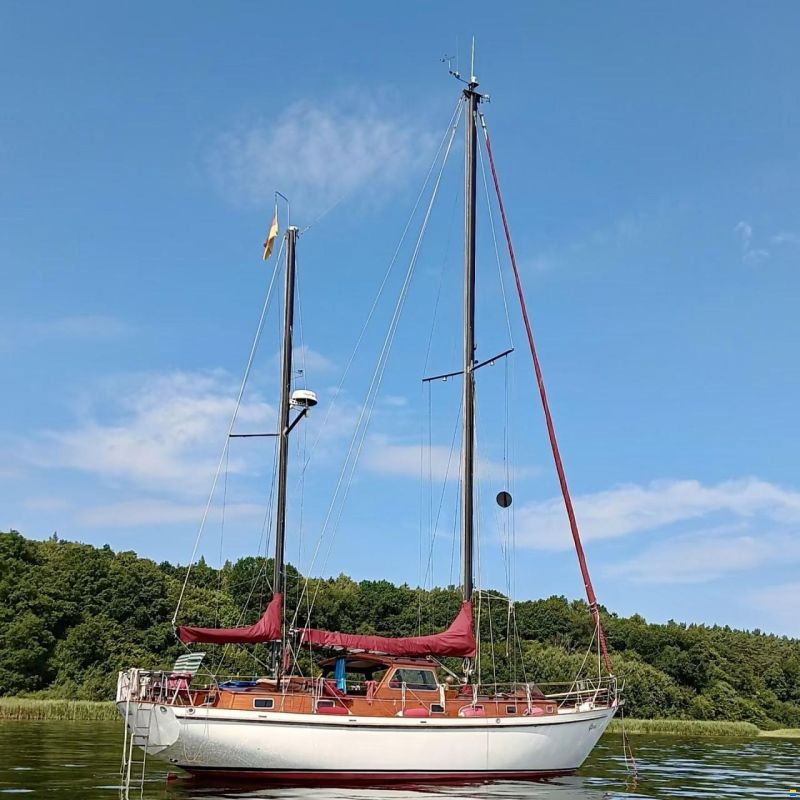Motorsegler Calypso 43