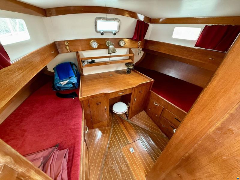 Motorsegler Calypso 43