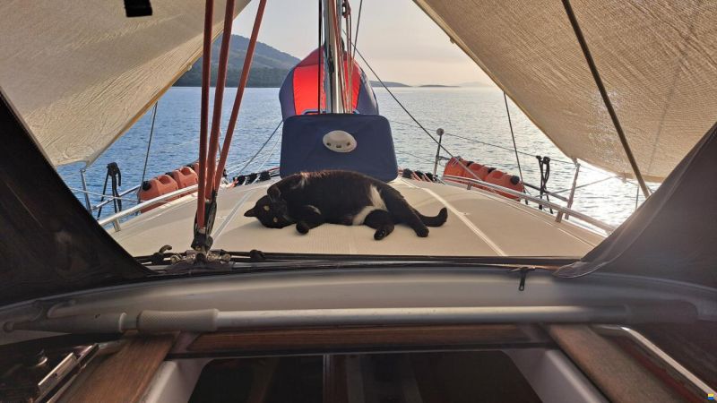 Jeanneau Sun Odyssey 39 DS