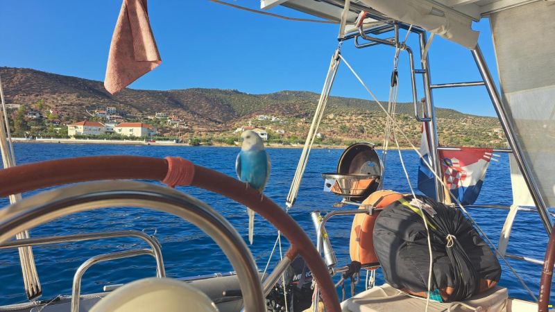 Jeanneau Sun Odyssey 39 DS