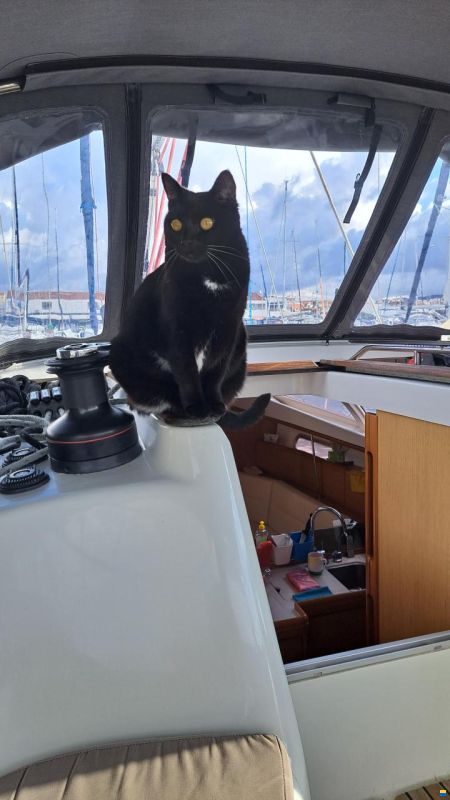 Jeanneau Sun Odyssey 39 DS