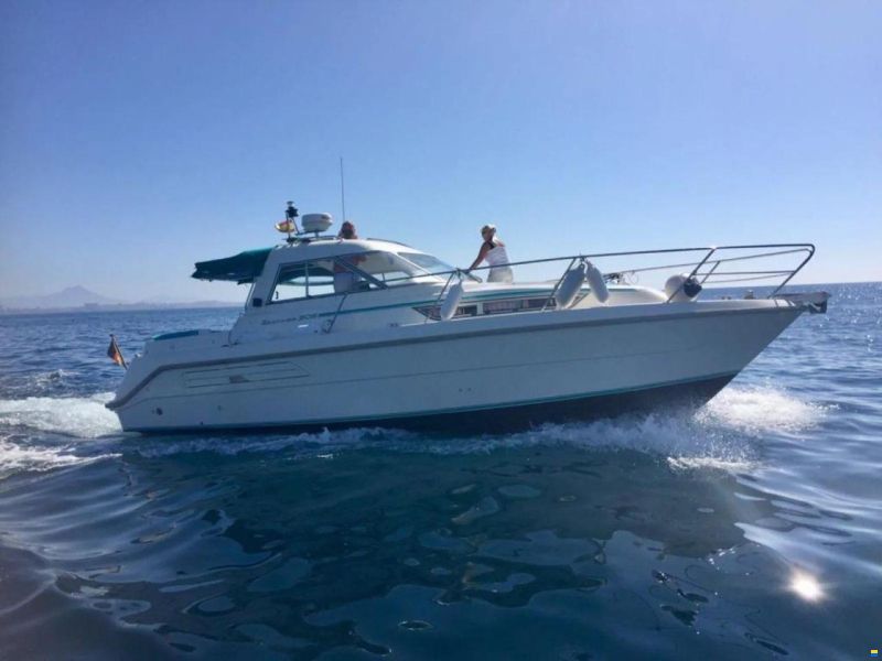 Hardy Seawings 305