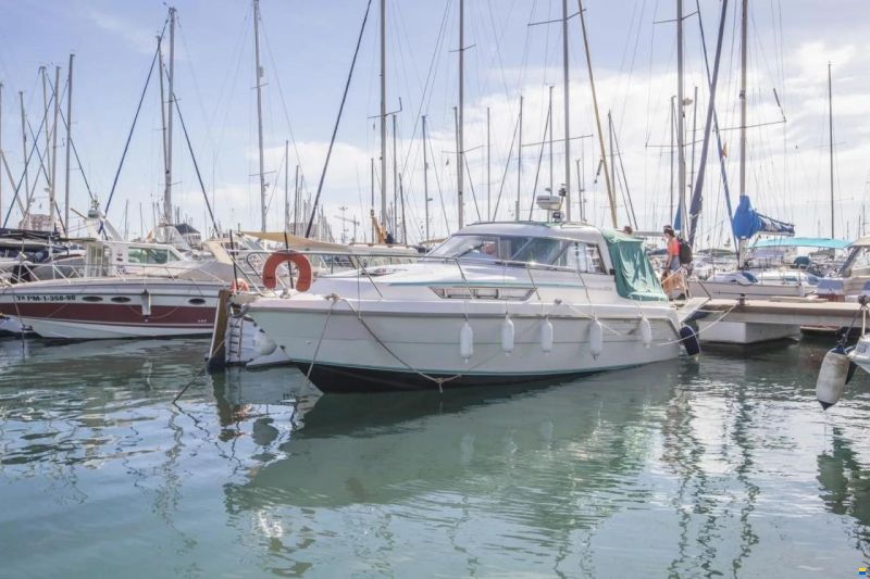 Hardy Seawings 305