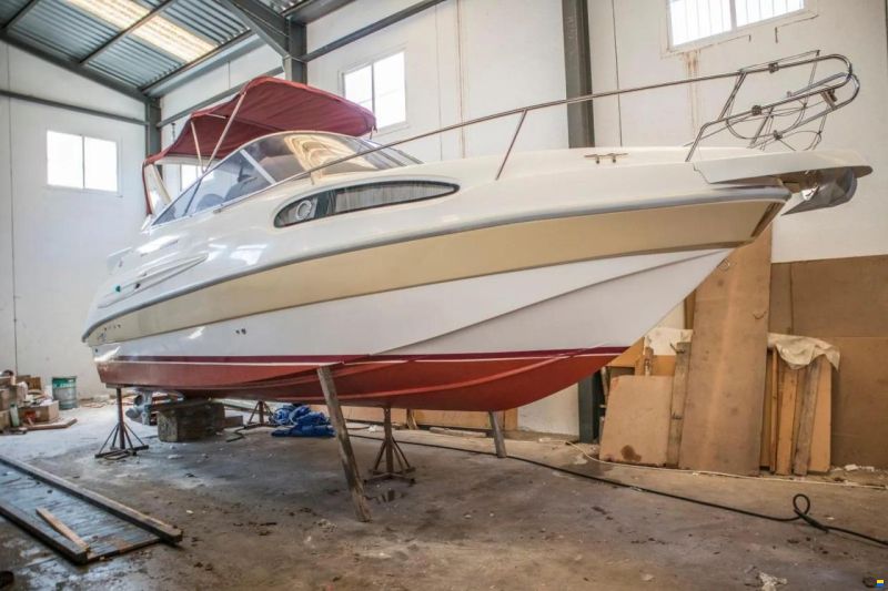 Rio 800 Cruiser