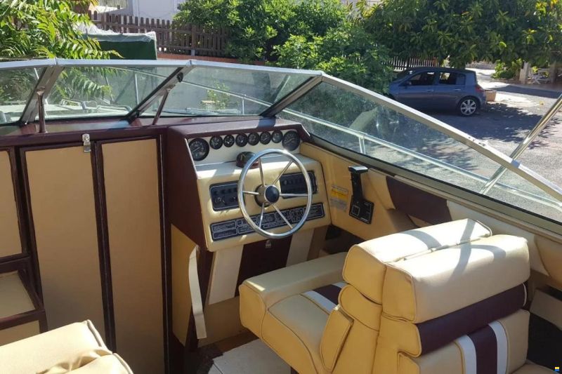 Sea Ray 210