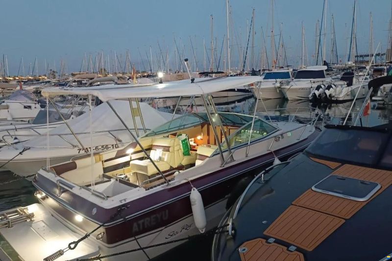 Sea Ray 210