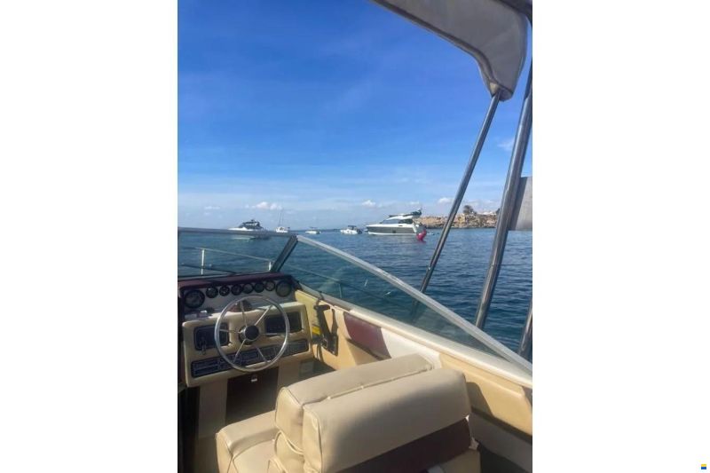 Sea Ray 210
