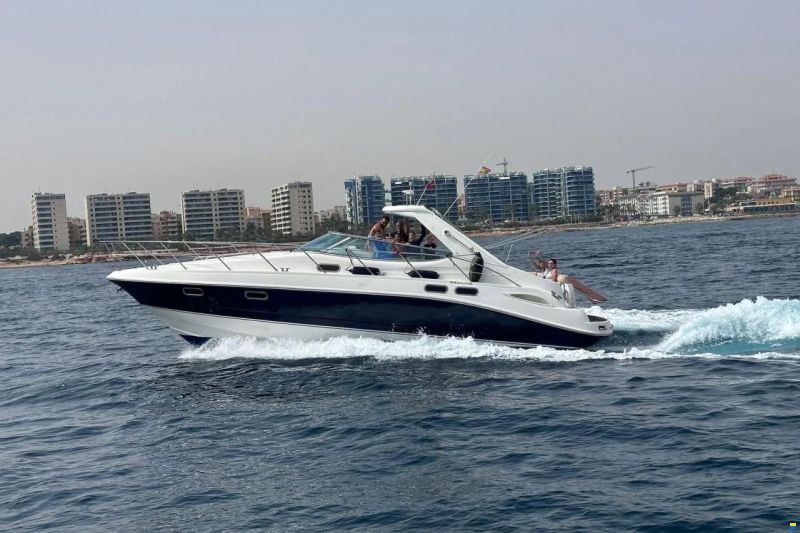 Sealine S 42