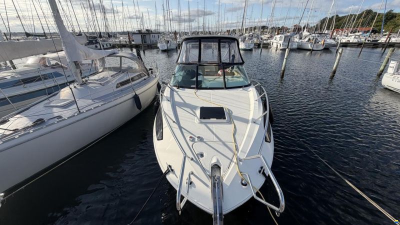 Bayliner Ciera 8