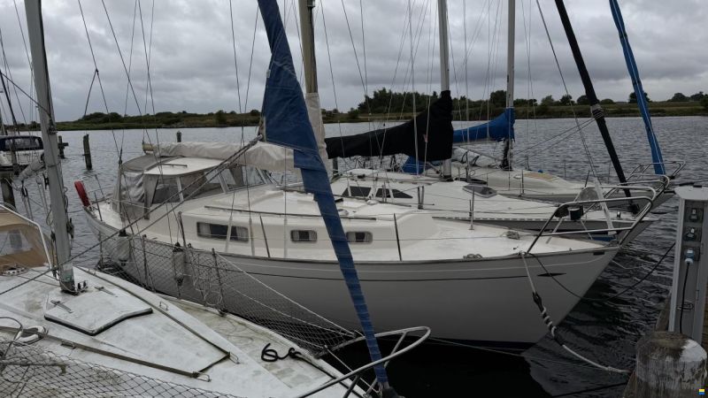 Hallberg-Rassy Rasmus 35
