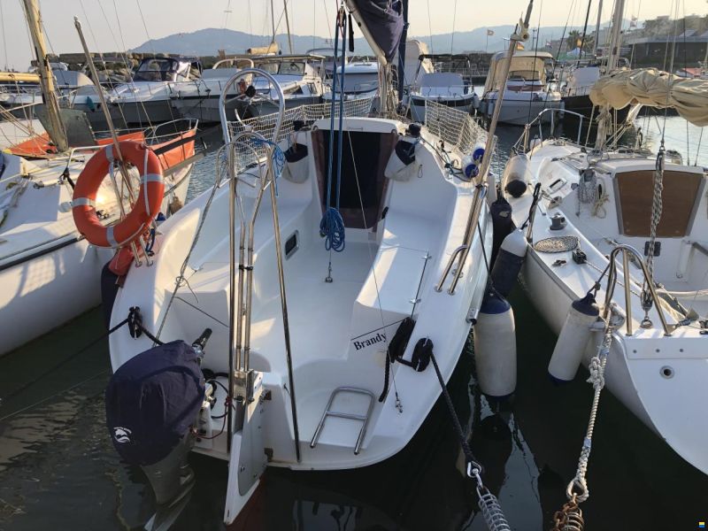 Delphia 24
