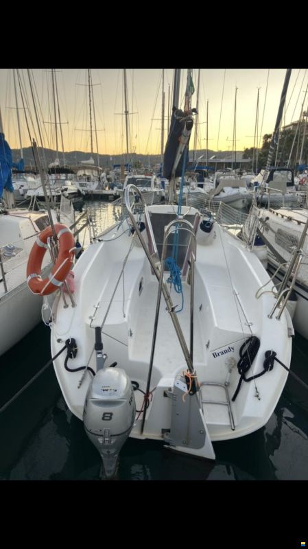 Delphia 24